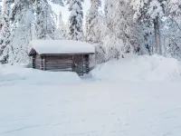 Kurtakko Pekka