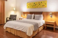 Dexter Hotel - Volta Redonda Hotel a Volta Redonda