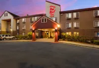 Red Roof Inn & Suites Savannah Airport - Motel