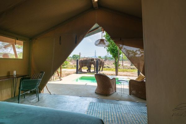 Elephant View Camp(เอเลเฟนท์ วิวแคมป์)_3