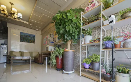 Goheung Naro Hotel Отели в г. Кохын