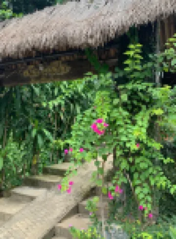 Mai Chau La Vida Homestay