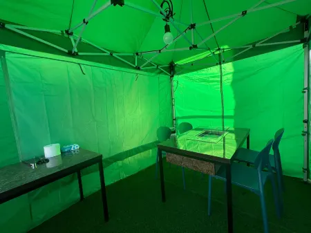 Gongju Forest Stay Pool Villa