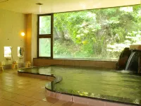 Shinguso Hotels in Tatsuno