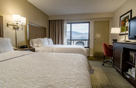 卡利維爾I-75/科夫湖州立公園希爾頓歡朋酒店