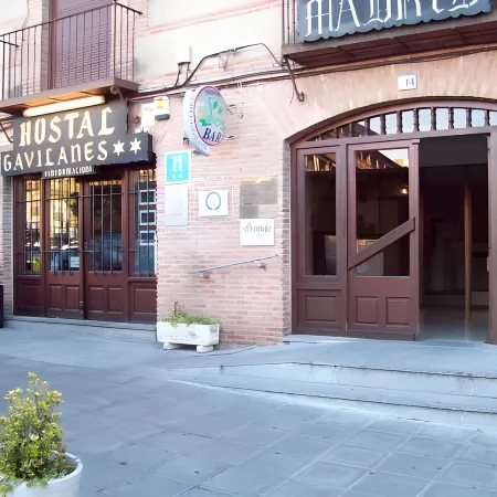 Gavilanes 2 Toledo