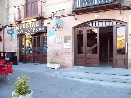 Gavilanes 2 Toledo