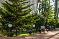 Buxus Hotel Shekvetili - 4-Star