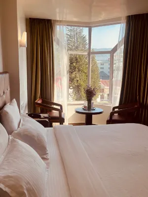 Hotel Pegasus Crown Hotels in 