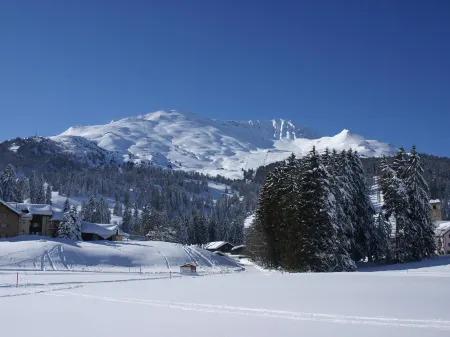 Triangel A Leppin Отели в г. Курвальден