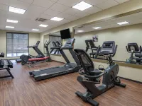 Comfort Inn & Suites Downtown Near University Hotels in Tuscaloosa County