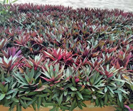 Renajoe Exclusive Guesthouse Tema Community 9