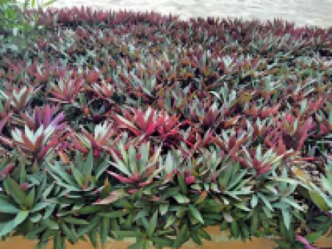 Renajoe Exclusive Guesthouse Tema Community 9