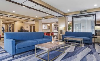 Comfort Inn Opelika - Auburn