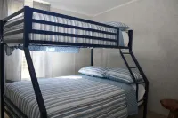 Spacious family friendly home that is pet friendly that is near Douglas Lake.