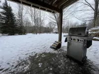 Pinewood Lodge | Cozy Pet-Friendly Log Cabin 5 min to Mt Sunapee