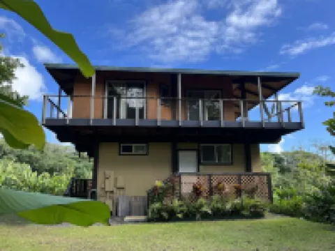 Stay in Hana #1