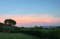 Romantic HideAway in an Old Olive Grove - EcoTourism - Huge Pool