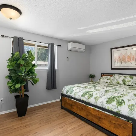 Edgewood Jungle Vibs Own unit A