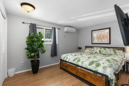 Edgewood Jungle Vibs Own unit A