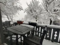 Welcome to the stunning Bergbewohner ski chalet!