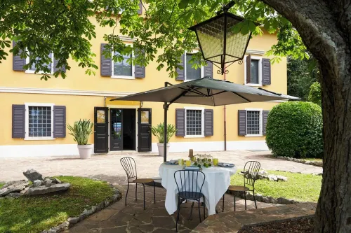 Swimming Pool Oasis Next To Downtown