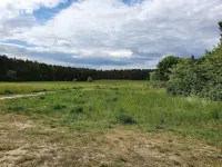 lovingly furnished cottage with terrace in the countryside Nuthetal 호텔