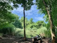 Melodic Forest~Hot Tub, Music Studio, Close to Wineries, Erie & Cleveland