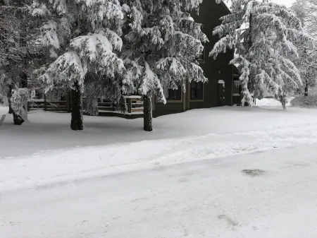 Stay just 150' from Avalanche Ski Lift at Summit Condos - Contact Free Check In