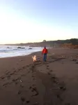 Ocean Views. Long Stay Discount. Short Walk to Shell Beach, Dog Friendly. - ติดทะเล