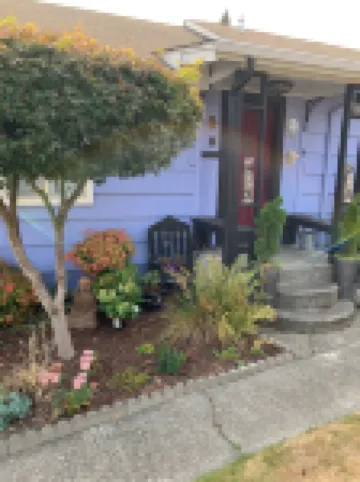 Dotty's Place Downtown