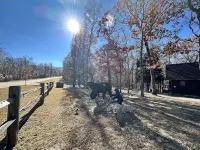 Stay at the Bear Valentine's Day- Fiber Wifi! - Close to Callaway Gardens Hotels in Harris County