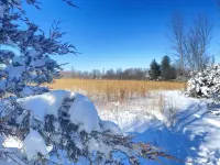 Prairie retreat with 40 acres! Near Iowa City, Cedar Rapids, and Amana Colonies.