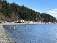 Saratoga passage beach house