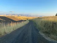 Historic Bungalow 3 bed, 3 bath near Whitman College and downtown Walla Walla.