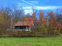 Cabin on 4 Acres Near Elk Mountain/Dogs OK/Easy Drive from Philly and NYC