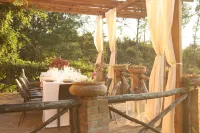 Romignano wine farm. Your villa in TUSCANY. Hotels in Terranuova Bracciolini