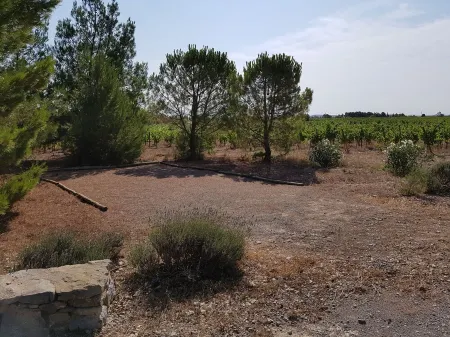 Mas with swimming pool in organic vineyards, 6 pers - 3 bedrooms - 2 bathrooms