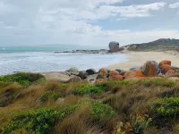 A luxurious with incredible seaviews and beaches only minutes away Hotels in Flinders Island