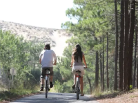 Villa Patio sous la Dune, 150 m from the Beach, Swimming pool, WIFI....., Open views 塞尼奧斯酒店