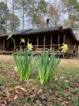 Immaculate Cabin Bordering National Forest, Close to Augusta, GA - -Masters