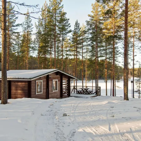 Aittoniemi I