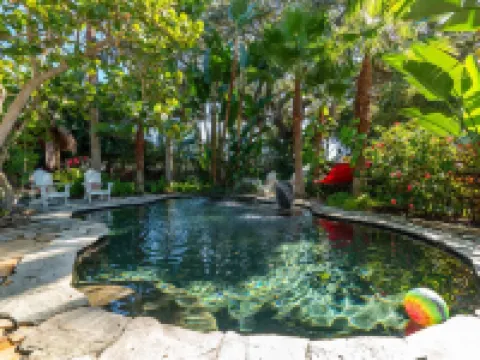 Funky coconut luxury apartment ダニーディンのホテル