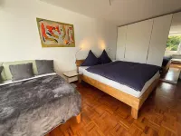 Junker Holiday Apartment Rheinidylle -optional with air conditioning-