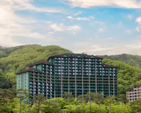 松乃卡姆維瓦爾第公園 洪川郡酒店