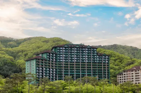 Sono Calm Vivaldi Park Отели рядом с достопримечательностью «Palbongsan Tourist Site»