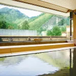 Sasaya Hotel - Hot Springs