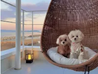 HOUS_AGAL Beach Club & Villa Awaji (Awaji Island) فنادق في ساموتو
