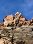 Royal Gorge Retreat