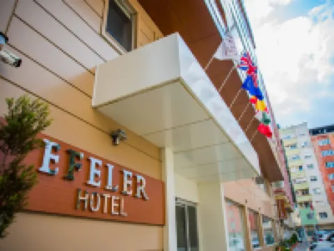 Efeler Hotel Hotels in Aydin